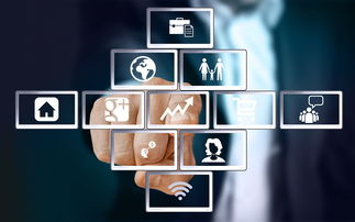 上?；ヂ摼W軟件集團 引領高端協同管理軟件與咨詢服務新紀元